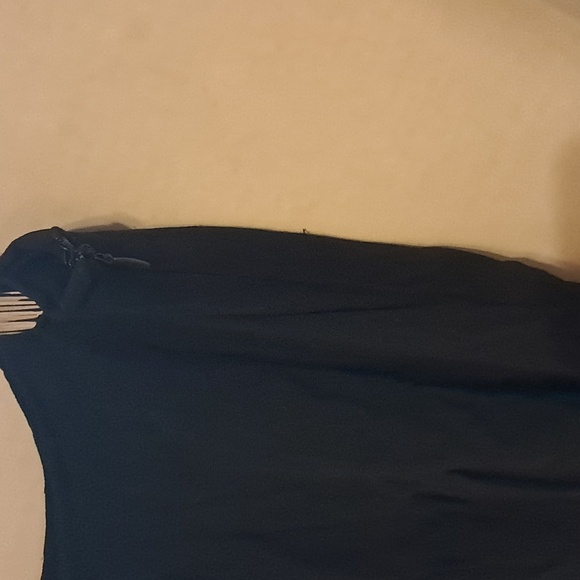 Worthington Women Pleated Silk Skirt Size 16 Fairiegoth Sheer Fairy Preowned - Picture 3 of 8